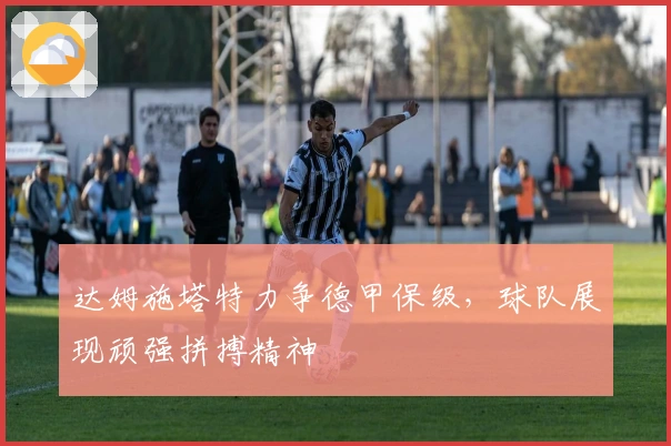 达姆施塔特力争德甲保级，球队展现顽强拼搏精神