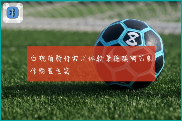 白晓萌骑行常州体验景德镇陶艺制作购置电窑